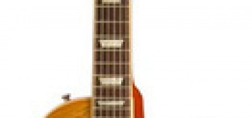 Les Paul "Appetite for Destruction"