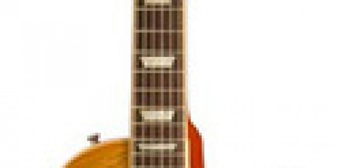 Les Paul "Appetite for Destruction"